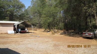 IMG_0809
