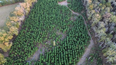 6580 Hwy 431 S, Pittsview, AL 36871 - photo 2