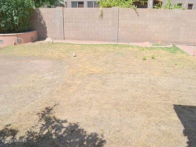 023-282484-back-yard-1