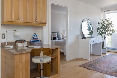 29 Concord Ave unit 303, Cambridge, MA 02138 - photo 4