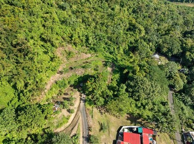 0 unit MFRPR9117727, Anasco, PR 00610 - photo 3