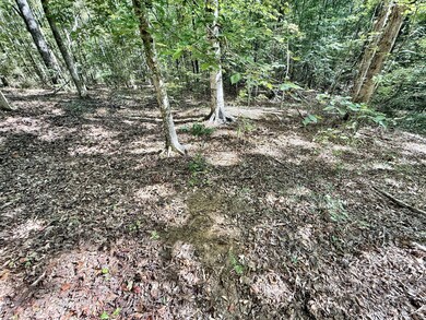 3355 Georgia 42, Forsyth, GA 31029 - photo 7