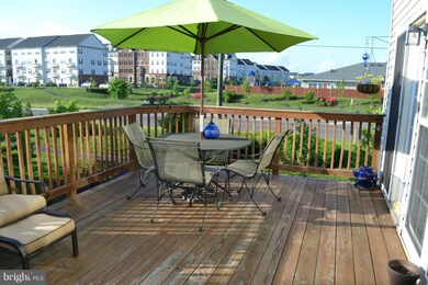 25393 Elm Terrace, Aldie, VA 20105 - photo 5