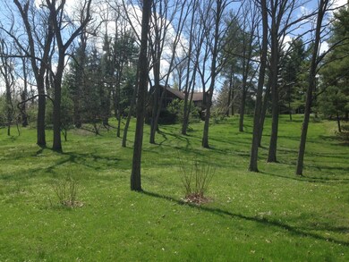 photo_5
