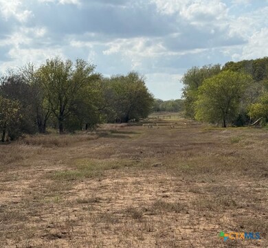 00 Simpson Ranch Rd, Runge, TX 78151 - photo 3