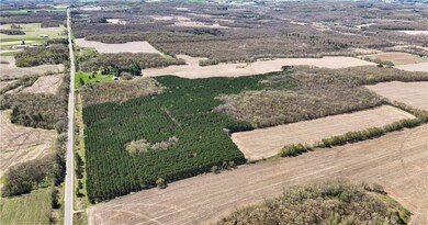 0 Highway 93 unit 1589346, Eleva, WI 54738 - photo 4