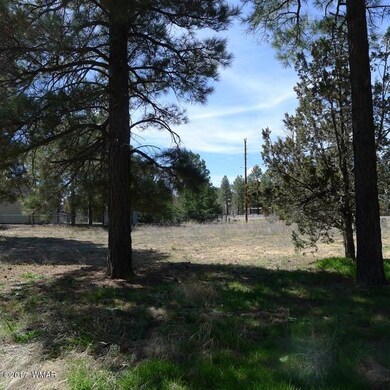 Lot 4