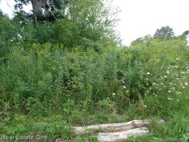 13281 Gable St, HamtraMcK, MI 48212 - photo 5