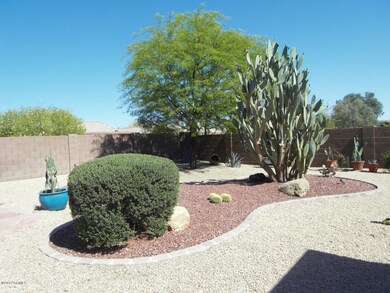 Beautiful Landscaping