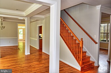 3807 Lawrence Ave, Kensington, MD 20895 - photo 2