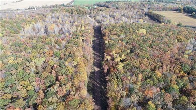 Lot 16 10 3 8 Ave, Chetek Township, WI 54728 - photo 3