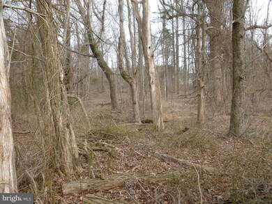 0 Sunrise Green-Caisson Dr unit VAFX1096716, Fairfax, VA 22030 - photo 2