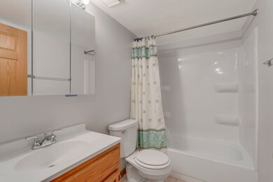 2505 Spring St unit 3304, Woodridge, IL 60517 - photo 6