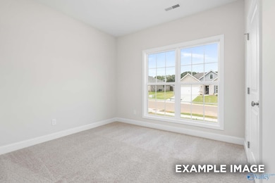 228 Jerrie Lynn Blvd, Moores Mill, AL 35759 - photo 6