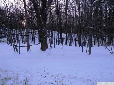 0 Church Ave unit 94606, Germantown, NY 12526 - photo 4