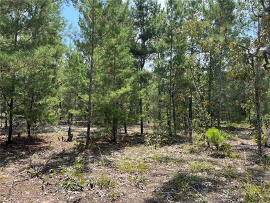 6253 Emory Ave, Keystone Heights, FL 32656 - photo 7