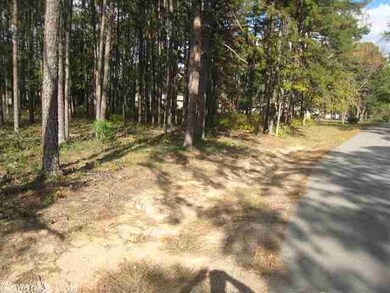 Lot 7 Blackberry Ln, Heber Springs, AR 72543 - photo 6