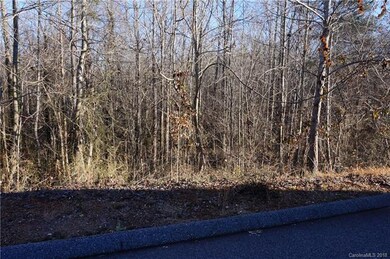 0 Wilkesboro Hwy, Statesville, NC 28625 - photo 7