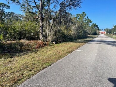 239 Jack Weisser Blvd, Lake Placid, FL 33852 - photo 4