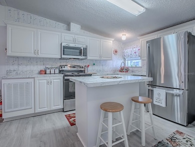 730 Cottage Park Ln, Leesburg, FL 34748 - photo 4