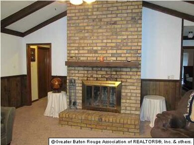 Wood burning fireplace