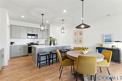 6824 Oasis Breeze Ln, Midlothian, VA 23112 - photo 3