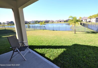 Backyard_01