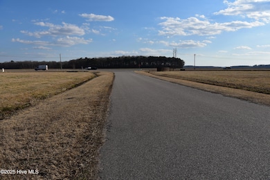 110 Boxcar Way, Camden, NC 27921 - photo 2