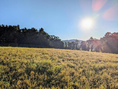 0 Daniels Run Rd, Check, VA 24072 - photo 4