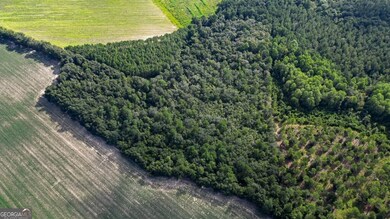 0 Twin Forks Rd unit TRACT 2 10586435, Statesboro, GA 30458 - photo 6