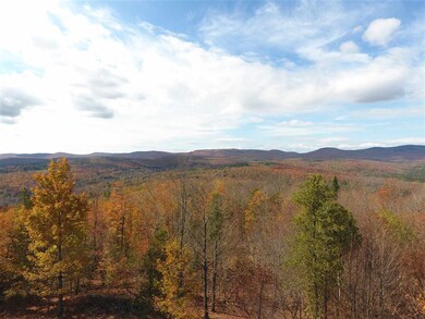 000 Derricks Dr unit 6, Wheelock, VT 05851 - photo 3