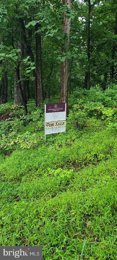 0 Inca Rd unit VAWR2000640, Linden, VA 22642 - photo 3