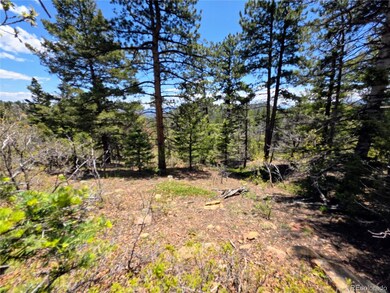 53 Trail Dr, Cotopaxi, CO 81223 - photo 6