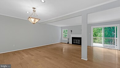 11522 Shell Flower Ln, Columbia, MD 21044 - photo 3