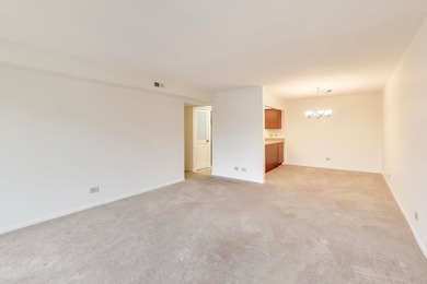 75 6th Ave unit 204, La Grange, IL 60525 - photo 6