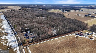 696 Spectrum Farms Rd, Felton, DE 19943 - photo 7