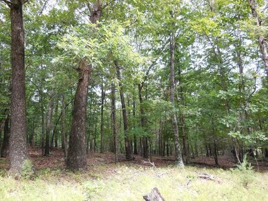 59 Acres Hyde (Wc 3270) Rd, West Fork, AR 72774 - photo 3