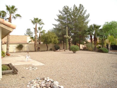 back yard
