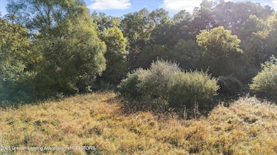 V/L Mill St, Maple Rapids, MI 48853 - photo 6