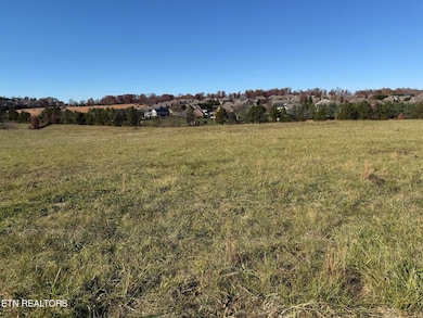 1195 Smith Valley Rd, Lenoir City, TN 37772 - photo 3