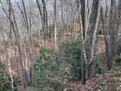 Lot 5 Mt Tabor, Franklin, NC 28781 - photo 3