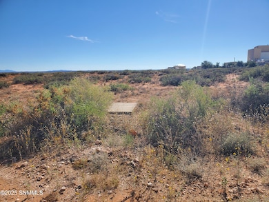 8851 Trigg Loop, Las Cruces, NM 88007 - photo 2