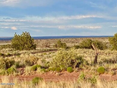 5467 Dusty Rd, Snowflake, AZ 85937 - photo 7