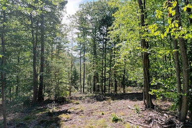 784 Texas Hill Rd, Plymouth, NH 03264 - photo 4