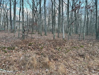Lot 9 Tamarack Dr, Lackawaxen Township, PA 18428 - photo 7