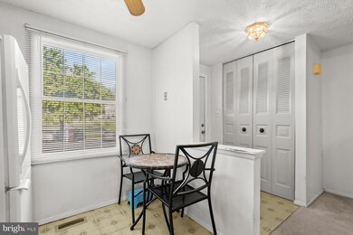 6016 Rowanberry Dr, Elkridge, MD 21075 - photo 5