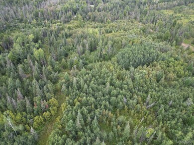 TBD Triple Creek Rd, Cornell, MI 49818 - photo 7