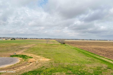 3902 Chemin Belle Terre, Maurice, LA 70555 - photo 5