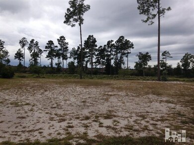 1311 Taswell Ct, Leland, NC 28451 - photo 3