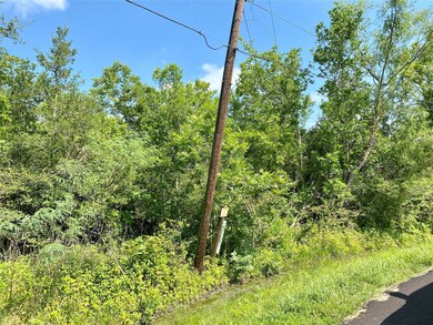 0 Ramble Wood Dr unit 82524722, Brazoria, TX 77422 - photo 5